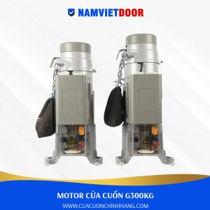 MOTOR G300 CN ĐÀI LOAN 300kg BẢO HÀNH 2 NĂM