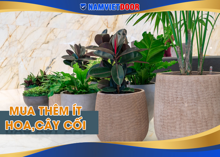 mua them ít cây cối để trong nhà cho tươi xinh